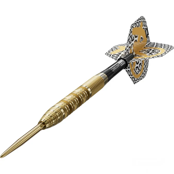 Darts nyíl készlet Target SP Bolide Envy 01 90% 22g - Image 2
